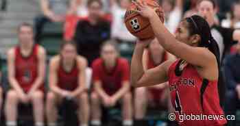 New WNBA team in Canada inspires Saskatchewan athletes
