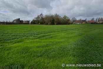 Een hectare voor 1,3 miljoen euro: Gent wil bouwgrond voor 15 woningen verkopen in Deinze