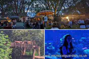 London Zoo nights offers a wild and animal night out: Review