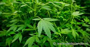 Burgmeester sluit drugspand op bedrijventerrein in Huissen: ‘Handelen in middelen voor hennepteelt’