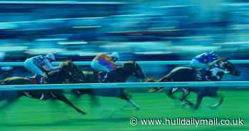 Horse name generator: The tool that will give you the perfect name for your racehorse