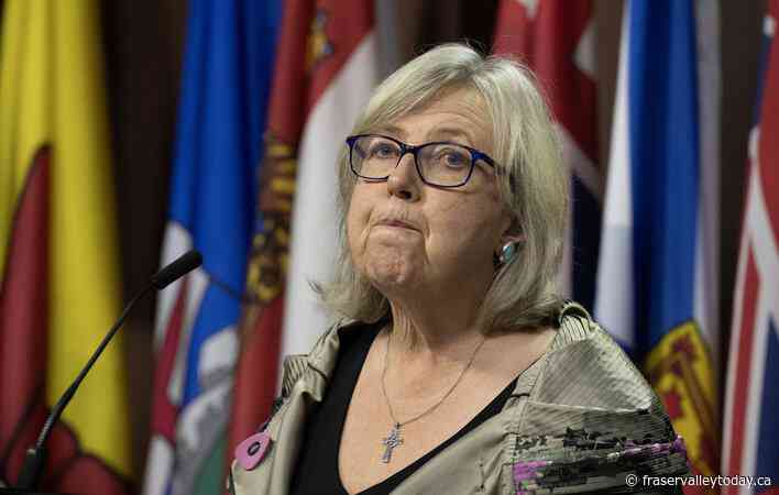 ‘Stupid’ or ‘unethical’: Green leader suggests MPs should have asked more questions