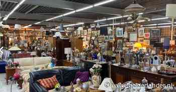 Vrouw steelt beelden en opgezette vos uit kringloop, eigenaar Marcel is het zat: ‘Ze stelen hier als de raven’