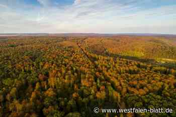 Nationalpark Egge: So haben die Bürger in den zehn Städten abgestimmt