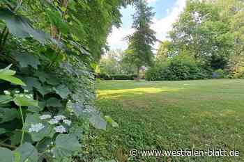 Steinheim will Grabfeld für Muslime ausweisen