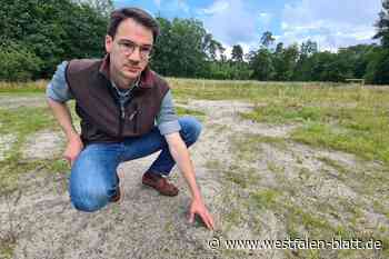 Streit um Standort für Hundewiese