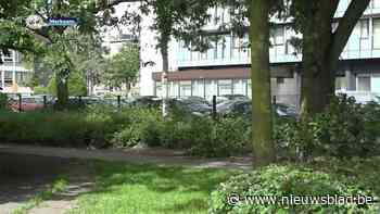 Hangjongeren maken buurt in Merksem onveilig: “Het loopt de spuigaten uit”