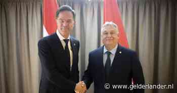 Rutte's kans op Navo-baan stuk groter: Orbán vraagt na gesprek niet langer om excuses