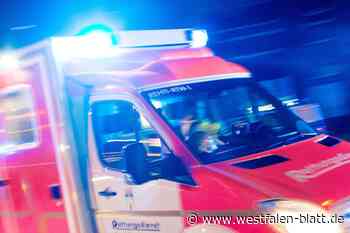 Pferde gehen beim Schützenfest in Delbrück-Lippling durch