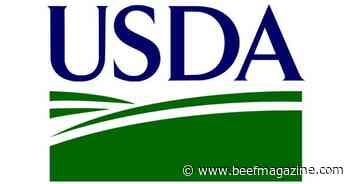 Farm Service Agency seeking nominations for farmers and ranchers to serve on local county committees