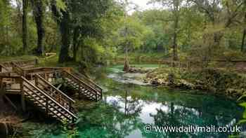 Was the Biblical Garden of Eden in Florida? Minister long claimed park in northwestern part of the state was once home to Adam and Eve