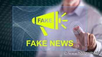 Fake-News-Debatte: Tun die Plattformen genug gegen Desinformation?