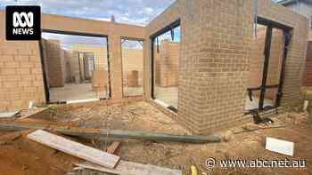 Still no end in sight for Nicheliving customers as minister seeks explanation