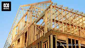 Home builders face increased costs and waiting times due to looming hardwood timber shortage, industry says