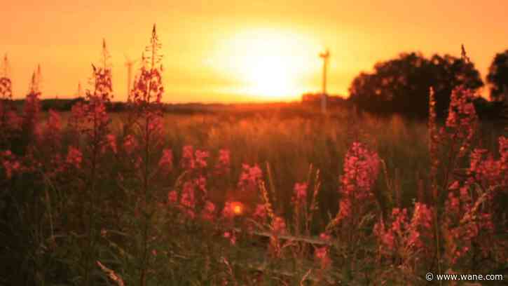 Dangerous heat plus humidity another15 Fury Alert Day