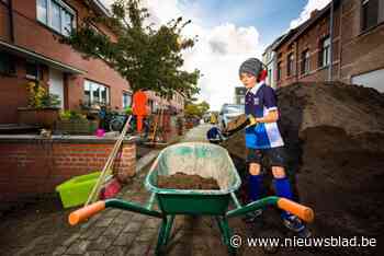 Stad polst Mechelaars of ze meer groen willen in hun straat: “Bevraging duurt slechts een minuut”