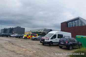 Klas geëvacueerd in basisschool door zware regenval: dak dreigt in te storten