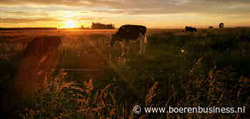 Nieuw Zeeland blijft minder melken richting slot seizoen