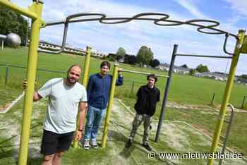 Verhuis pull-up-toestel nieuwe aanzet om van Ter Linde recreatiegebied voor jeugd te maken