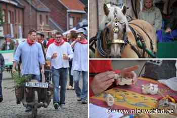 Vis en Folklore in Mariekerke maakt tussen klassiek programma door tijd voor Rode Duivels
