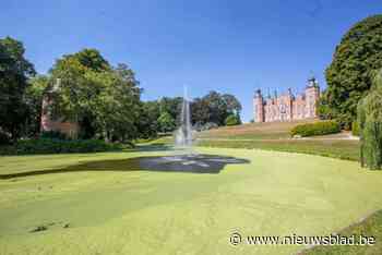 Algen in kasteelvijver bezorgen gemeente kopzorgen: “PFAS-probleem moet eerst opgelost worden”