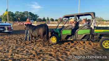 Sask. steer auction for teen with rare condition raises more than $50,000