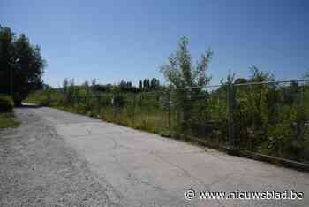 Buren halen slag thuis: zomerbar Coupe Congé mag niet open, zegt Raad van State