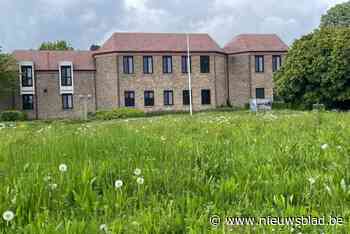 Gemeente Kinrooi lanceert opvolger ‘kinrooimeemaken’