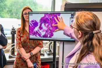 Limburgse ziekenhuizen gebruiken AI om kanker sneller op te sporen