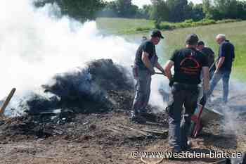 180 Sack Holzkohle aus Schwaney zu verkaufen