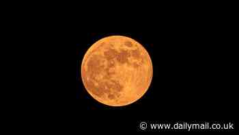 Here's how to see the full Strawberry Moon this week - which will glow a golden hue in the night sky