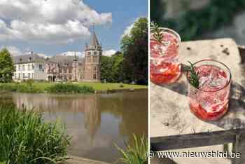 Zomerbar met cocktails, optredens en foodtrucks op binnenplein kasteel de Renesse