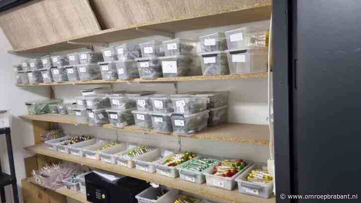 Handel in softdrugs, rookwaren en medicijnen: twee mannen opgepakt