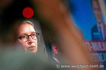 Der Rechtsruck in Deutschland, die AfD – und die große Frage nach dem Warum