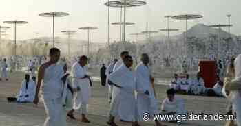 Temperaturen tot 50 graden en ruim 60 doden bij moslimbedevaart Mekka