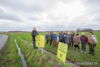 Buurtcomité haalt eerste slag thuis: Demir weigert vergunning voor bouw van ‘hoogste windturbines van Europa’