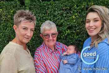 Noué zorgt voor viergeslacht in Bree