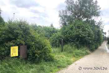 Derde keer, goede keer voor verkaveling Hooreveldje Smeermaas?