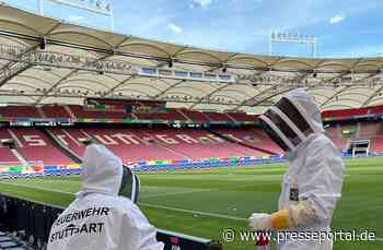 FW Stuttgart: Bienenschwarm in der Arena Stuttgart