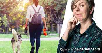 Overlast door hondenpoep: ‘Je hebt maar een paar aso’s nodig om van de stoep een mijnenveld te maken’