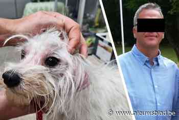 Eerst wierp hij een maltezer in het kanaal, nu wordt Michel B. ervan verdacht zijn vrouw in brand te steken