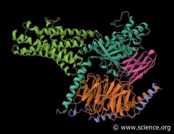 Conformation- and activation-based BRET sensors differentially report on GPCR–G protein coupling | Science Signaling
