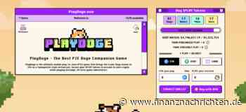 Dogecoin crasht, PlayDoge explodiert: Welcher Coin ist die bessere Wahl?