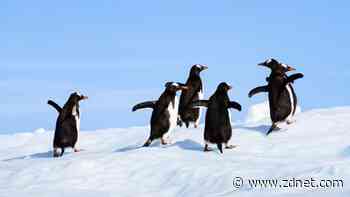 These 5 Linux file managers are better than what you're using now - and they're free