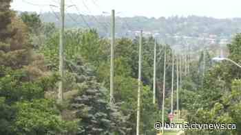 Heat wave pushes power usage to peak levels