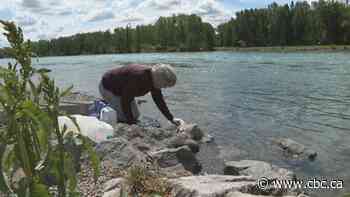 Calgary can now allow access to river water for businesses