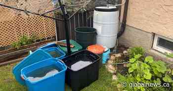Calgarians finding creative ways to save water as restrictions continue