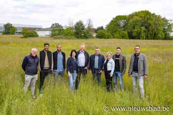 Audit Vlaanderen onderzoekt Hoeselts Sportpark: miljoeneninvestering met amper 6.000 euro startkapitaal