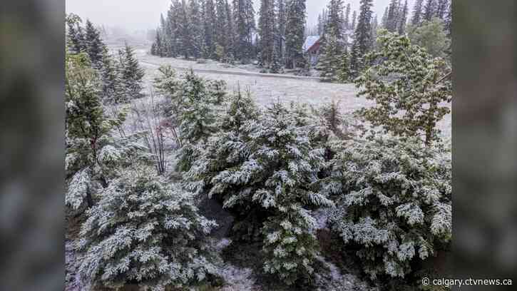 It's been chilly for mid-June but Wednesday, the warming trend begins