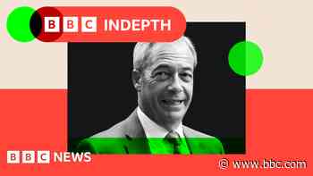 Reform UK election pledges: 11 key policies analysed